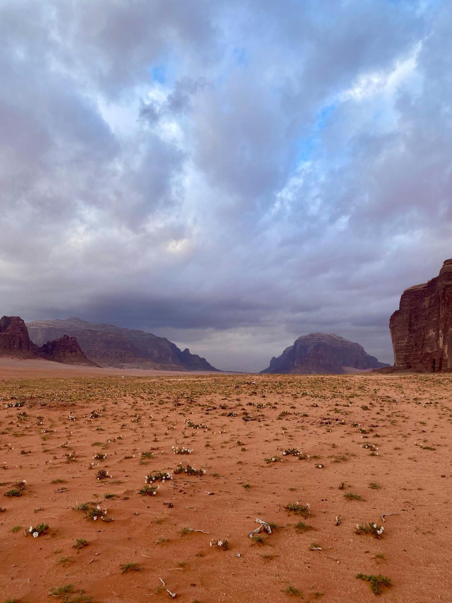 Glamp Camp Wadi Rum Exterior foto